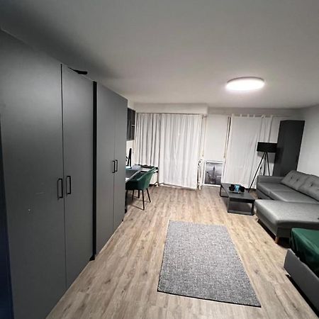 Business Apartment 卡尔斯鲁厄 外观 照片