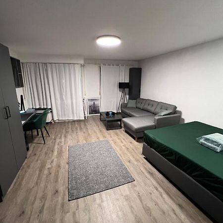 Business Apartment 卡尔斯鲁厄 外观 照片