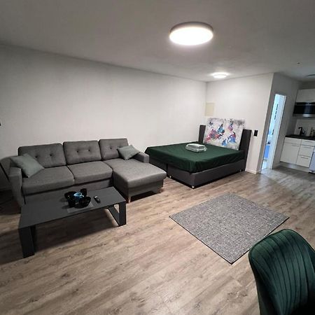 Business Apartment 卡尔斯鲁厄 外观 照片