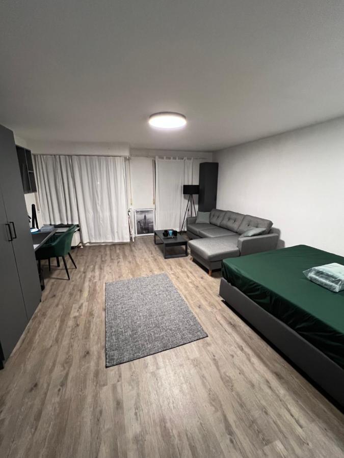 Business Apartment 卡尔斯鲁厄 外观 照片