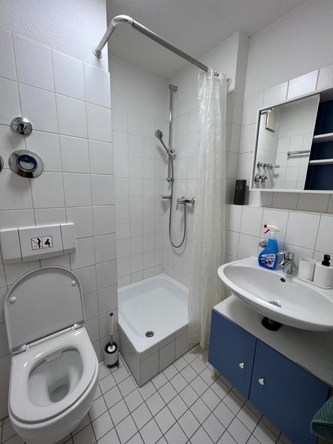 Business Apartment 卡尔斯鲁厄 外观 照片