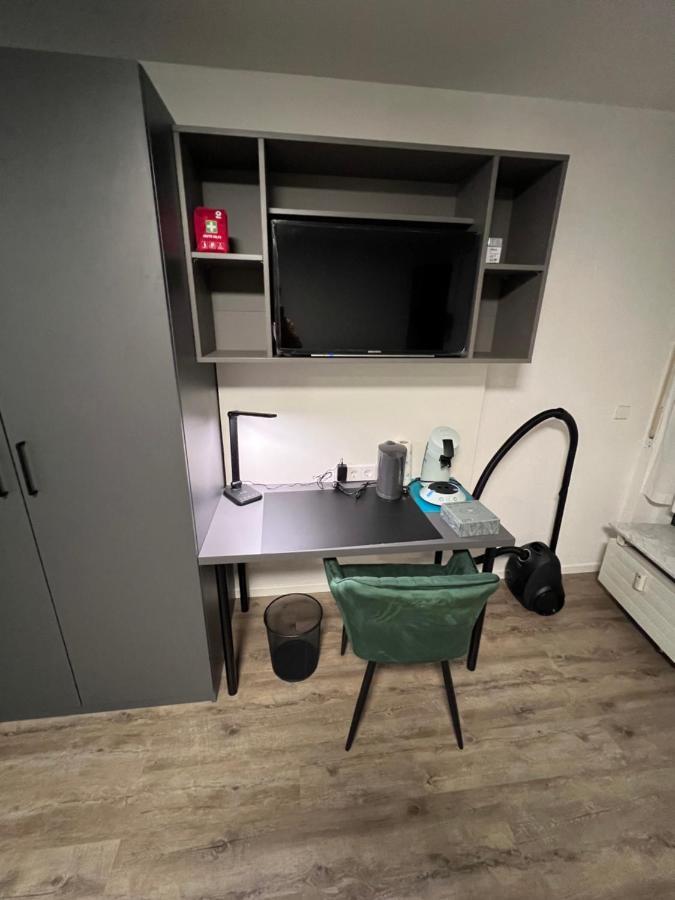 Business Apartment 卡尔斯鲁厄 外观 照片