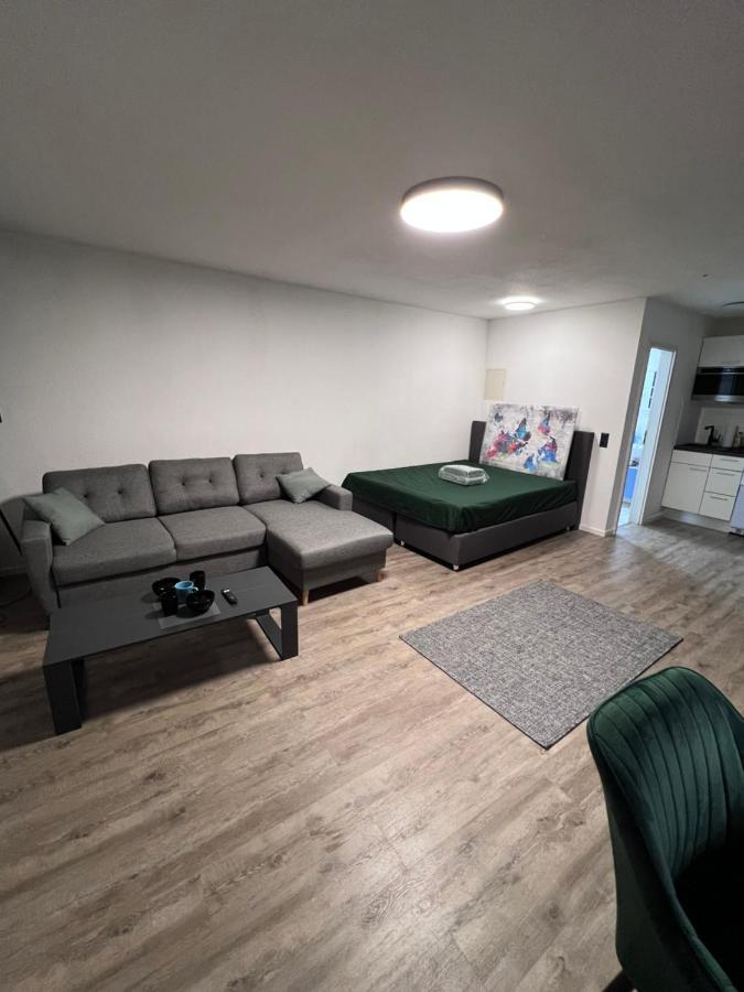 Business Apartment 卡尔斯鲁厄 外观 照片