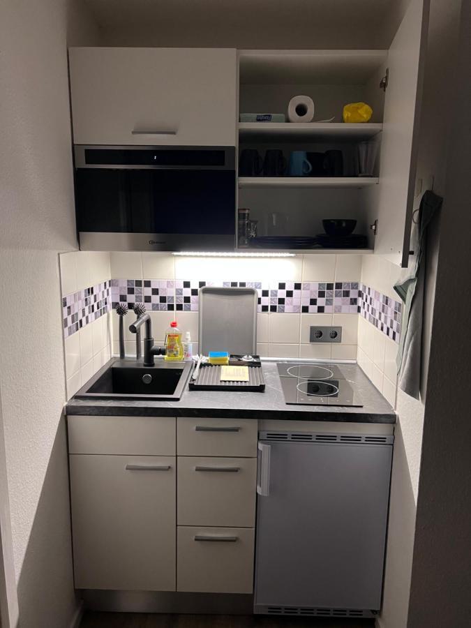 Business Apartment 卡尔斯鲁厄 外观 照片